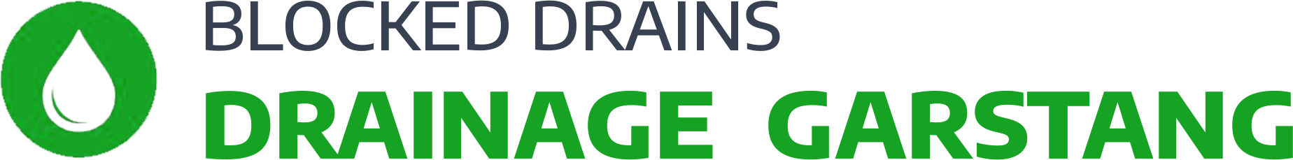website logo